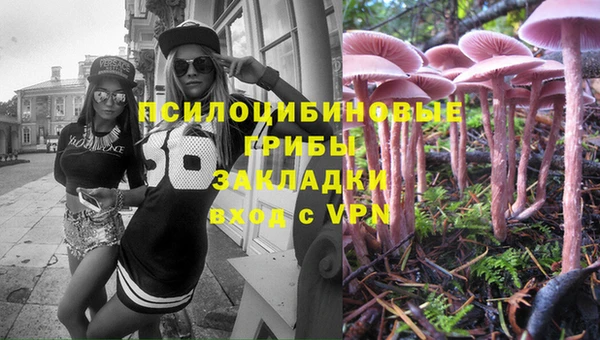 шишки Алзамай