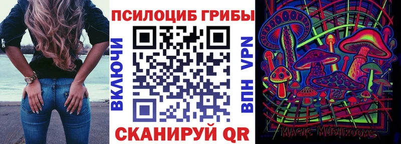 Галлюциногенные грибы Psilocybine cubensis  Чекалин 